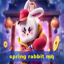 spring rabbit mq